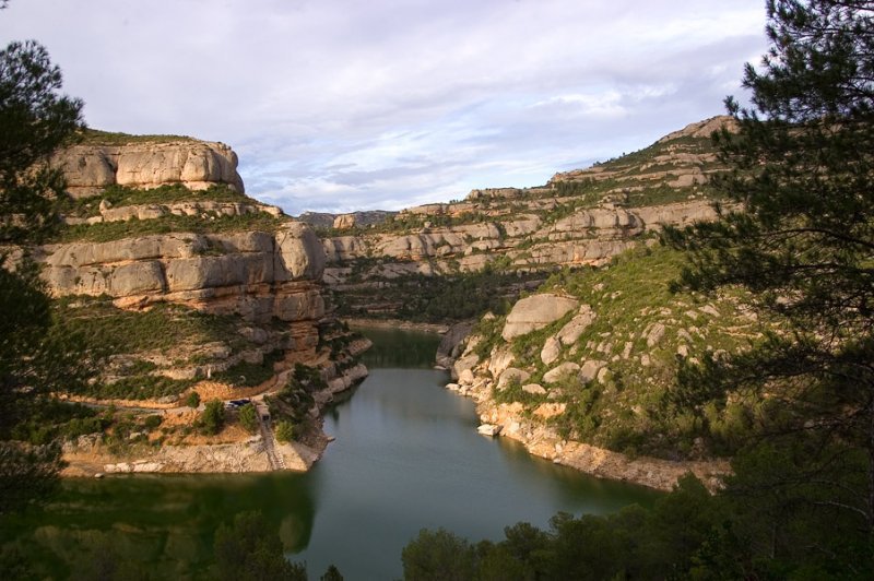 Margalef