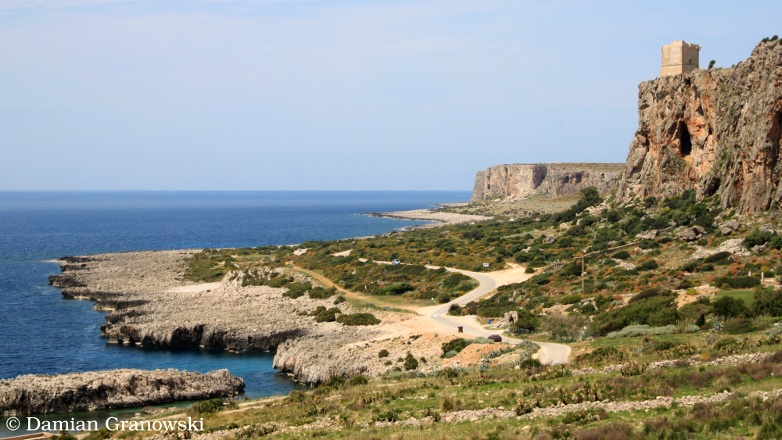 Sanvito